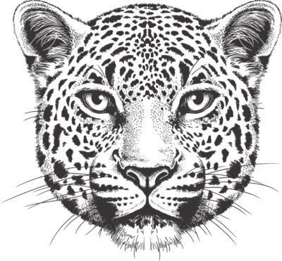 Leopard Face